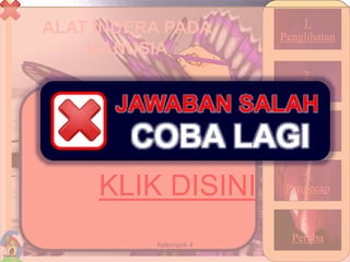 ALAT INDERA PADA
MANUSIA
38Kelompok 4
1.
Penglihatan
2.
Pembau
3.
Pendengar
4.
Pengecap
5.
Peraba
KLIK DISINI
COBA LAGI
JAWABAN SALAH
 