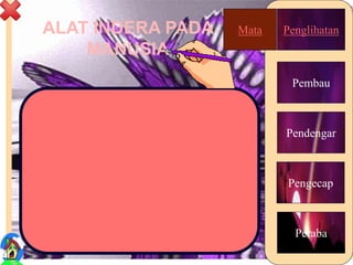 ALAT INDERA PADA
MANUSIA
4
Mata
Pengecap
Pembau
Pendengar
Peraba
PenglihatanMata
 