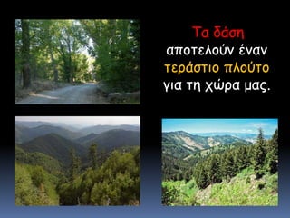 Τα δάση αποτελούν έναν τεράστιο πλούτο για τη χώρα μας.