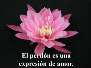 El perdón es una
expresión de amor.
 