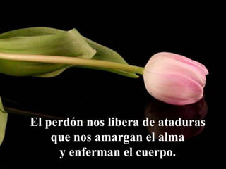 El perdón nos libera de ataduras
que nos amargan el alma
y enferman el cuerpo.
 