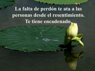 La falta de perdón te ata a las
personas desde el resentimiento.
Te tiene encadenado.
 