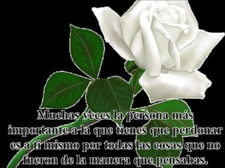 Muchas veces la persona más
importante a la que tienes que perdonar
es a ti mismo por todas las cosas que no
fueron de la manera que pensabas.
 