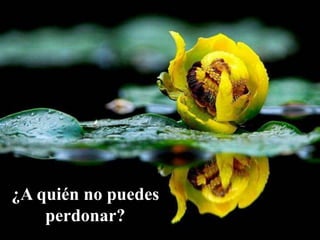 ¿A quién no puedes
perdonar?
 