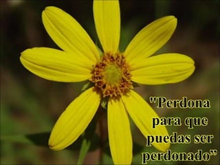 "Perdona
para que
puedas ser
perdonado”
 