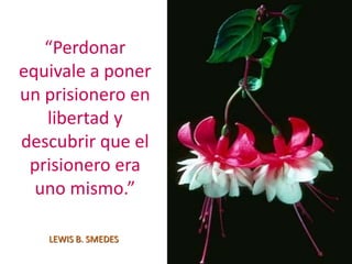 “Perdonar
equivale a poner
un prisionero en
libertad y
descubrir que el
prisionero era
uno mismo.”
LEWIS B. SMEDES
 