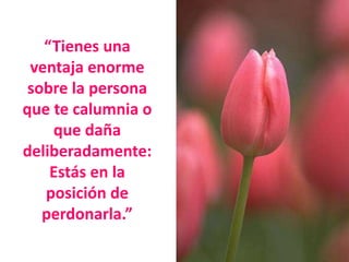 “Tienes una
ventaja enorme
sobre la persona
que te calumnia o
que daña
deliberadamente:
Estás en la
posición de
perdonarla.”
 