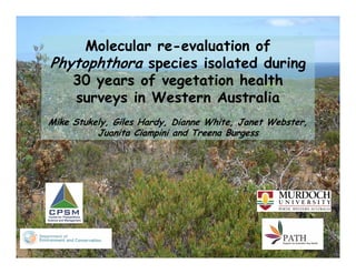 Molecular re-evaluation of
Phytophthora species isolated during
   30 years of vegetation health
   surveys in Western Australia
Mike Stukely, Giles Hardy, Dianne White, Janet Webster,
          Juanita Ciampini and Treena Burgess
 