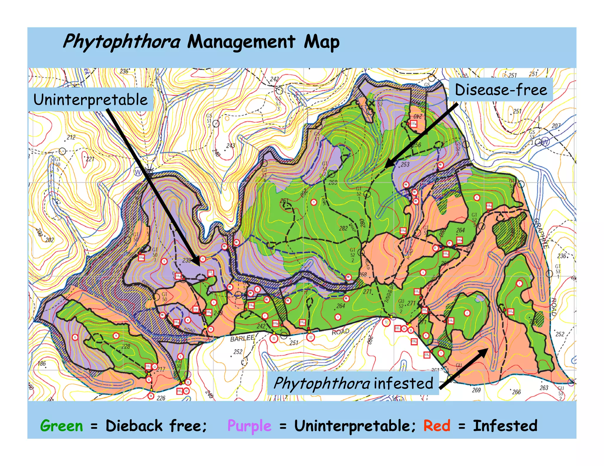Phytophthora Management Map
Green = Dieback free; Purple = Uninterpretable; Red = Infested
Uninterpretable
Disease-free
Phytophthora infested
 