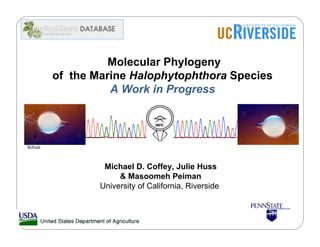 Molecular Phylogeny
         of the Marine Halophytophthora Species
                   A Work in Progress



Schulz



                  Michael D. Coffey, Julie Huss
                      & Masoomeh Peiman
                 University of California, Riverside
 