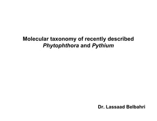Molecular taxonomy of recently described
       Phytophthora and Pythium




                           Dr. Lassaad Belbahri
 