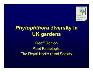 Phytophthora diversity in
      UK gardens
          Geoff Denton
        Plant Pathologist
  The Royal Horticultural Society
 