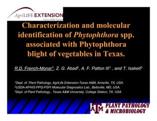 Characterization and molecular
  identification of Phytophthora spp.
    associated with Phytophthora
     blight of vegetables in Texas.
R.D. French-Monar1, Z. G. Abad2, A. F. Patton III1 , and T. Isakeit3

1Dept. of Plant Pathology, AgriLife Extension-Texas A&M, Amarillo, TX, USA.
2USDA-APHIS-PPQ-PSPI Molecular Diagnostics Lab., Beltsville, MD, USA.

3Dept. of Plant Pathology , Texas A&M University, College Station, TX, USA.
 