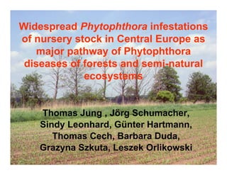 Widespread Phytophthora infestations
of nursery stock in Central Europe as
    major pathway of Phytophthora
 diseases of forests and semi-natural
             ecosystems


    Thomas Jung , Jörg Schumacher,
    Sindy Leonhard, Günter Hartmann,
       Thomas Cech, Barbara Duda,
    Grazyna Szkuta, Leszek Orlikowski
 