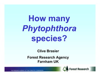 How many
Phytophthora
  species?
      Clive Brasier
 Forest Research Agency
       Farnham UK
 