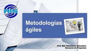 Metodologías
ágiles
Prof. Elsi Valenzuela Rotondaro
Gerencia de Proyectos
 