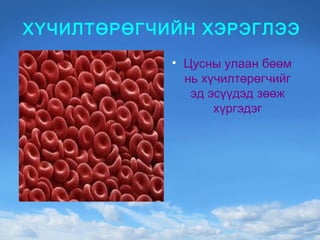 ХҮЧИЛТӨРӨГЧИЙН ХЭРЭГЛЭЭ Цусны улаан бөөм нь хүчилтөрөгчийг эд эсүүдэд зөөж хүргэдэг 