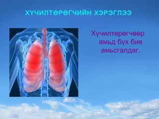 ХҮЧИЛТӨРӨГЧИЙН ХЭРЭГЛЭЭ Хүчилтөрөгчөөр амьд бүх бие амьсгалдаг. 