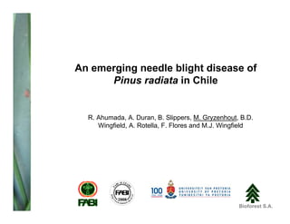 An emerging needle blight disease of
      Pinus radiata in Chile


  R. Ahumada, A. Duran, B. Slippers, M. Gryzenhout, B.D.
     Wingfield, A. Rotella, F. Flores and M.J. Wingfield




                                                   Bioforest S.A.
 