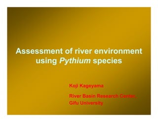 Assessment of river environment
    using Pythium species


             Koji Kageyama

             River Basin Research Center,
             Gifu University
 