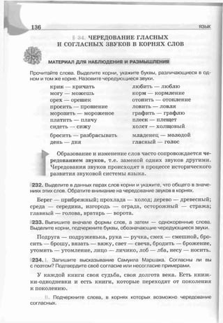 136________________________ _____________________язык
34 ЧЕРЕДОВАНИЕ ГЛАСНЫХ
И СОГЛАСНЫХ ЗВУКОВ В КОРНЯХ СЛОВ
МАТЕРИАЛ ДЛЯ НАБЛЮДЕНИЯ И РАЗМЫШЛЕНИЯ
Прочитайте слова. Выделите корни, укажите буквы, различающиеся в од­
ном и том же корне. Назовите чередующиеся звуки.
► Образование и изменение слов часто сопровождается че­
редованием звуков, т.е. заменой одних звуков другими.
Чередования звуков происходят в процессе исторического
развития звуковой системы языка.
232. Выделите в данных парах слов корни и укажите, что общего в значе­
ниях этих слов. Обратите внимание на чередование звуков в корнях.
Берег — прибрежный; прохлада — холод; дерево — древесный;
среда — середина, изгородь — ограда, осторожный — стража;
главный — голова, вратарь — ворота.
233. Выпишите вначале формы слов, а затем — однокоренные слова.
Выделите корни, подчеркните буквы, обозначающие чередующиеся звуки.
Подруга — подруженька, рука — ручка, смех — смешной, бро­
сить — брошу, вязать — вяжу, свет — свеча, бродить — брожение,
утомить — утомление, лицо — личико, лоб — лба, несу — носить.
234 I. Запишите высказывание Самуила Маршака. Согласны ли вы
с поэтом? Подтвердите своё согласие или несогласие примерами.
У каждой книги своя судьба, своя долгота века. Есть книж-
ки-однодневки и есть книги, которые переходят от поколения
к поколению.
крик — кричать
могу — можешь
орех — орешек
просить — прошение
морозить — мороженое
платить — плачу
сидеть — сижу
бросить — разбрасывать
день — дня
любить — люблю
корм — кормление
отопить — отопление
ловить — ловля
графить — графлю
плеск — плещет
холст — холщовый
младенец — молодой
гласный — голос
Подчеркните слова, в корнях которых возможно чередование
согласных.
 
