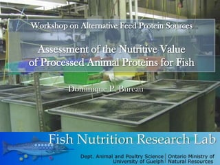 Workshop on Alternative Feed Protein Sources

  Assessment of the Nutritive Value
of Processed Animal Proteins for Fish

          Dominique P. Bureau
 