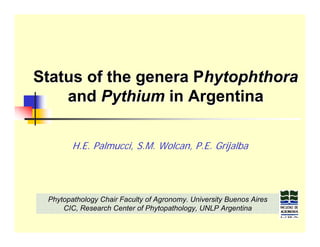 Status of the genera Phytophthora
    and Pythium in Argentina

        H.E. Palmucci, S.M. Wolcan, P.E. Grijalba




 Phytopathology Chair Faculty of Agronomy. University Buenos Aires
     CIC, Research Center of Phytopathology, UNLP Argentina
 