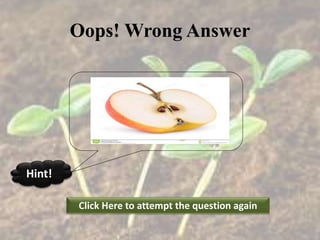 Oops! Wrong Answer
Click Here to attempt the question again
Hint!
 
