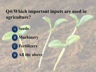 Q4:Which important inputs are used in
agriculture?
Seeds
Machinery
Fertilizers
All the above
 