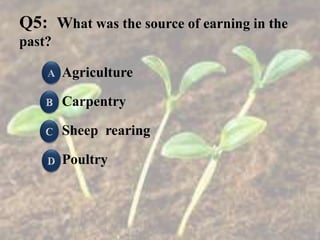 Q5: What was the source of earning in the
past?
Agriculture
Carpentry
Sheep rearing
Poultry
 