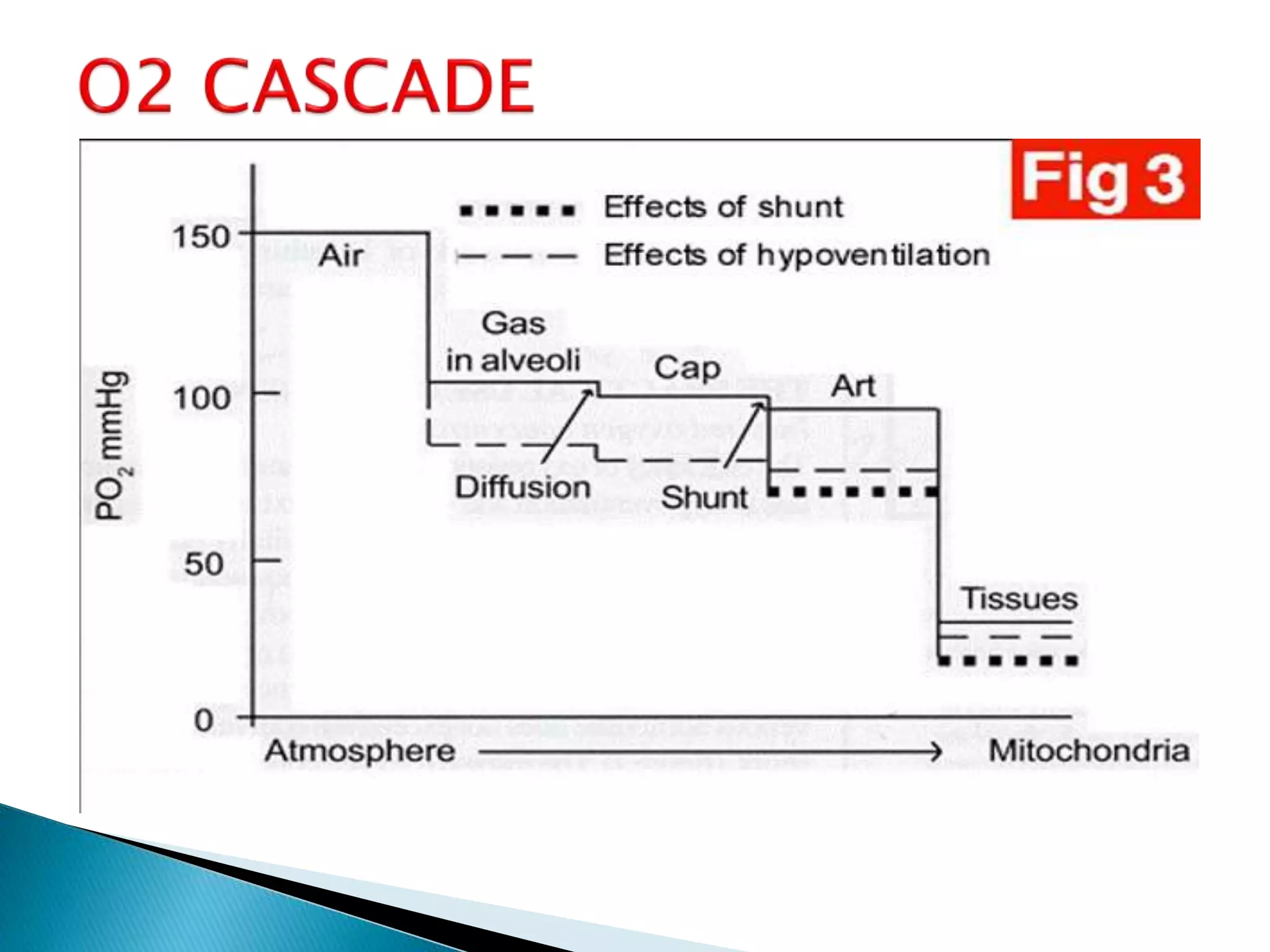 O2 cascade flux n odc | PPTX