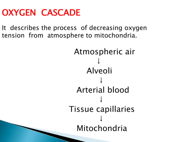O2 cascade flux n odc | PPTX | Lung and Respiratory Health | Diseases ...