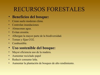 RECURSOS FORESTALES
• Beneficios del bosque:
• Crean suelo moderan clima.
• Controlan inundaciones
• Almacenan agua.
• Evitan erosión.
• Albergan la mayor parte de la biodiversidad.
• Toman y fijan CO2.
• Combustible.
• Uso sostenible del bosque:
• Mayor eficiencia uso de la madera.
• Aumentar reciclado papel
• Reducir consumo leña.
• Aumentar la plantación de bosques de alto rendimiento.
 