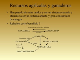Recursos agrícolas y ganaderos
• Han pasado de estar unidos y ser un sistema cerrado y
eficiente a ser un sistema abierto y gran consumidor
de energía.
• Relación coste beneficio ?
VEGETALES NO APTOS PARA HUMANOS
GANADERÍA AGRICULTURA
ESTIÉRCOL
ENERGÍA
Combustibles fósiles
GANADERÍA FERTILIZANTES
Cereales
Residuos
Estiércol AGRICULTURA
CONTAMINACIÓN
 