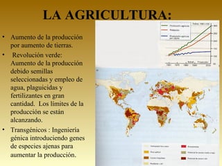 LA AGRICULTURA:
• Aumento de la producción
por aumento de tierras.
• Revolución verde:
Aumento de la producción
debido semillas
seleccionadas y empleo de
agua, plaguicidas y
fertilizantes en gran
cantidad. Los límites de la
producción se están
alcanzando.
• Transgénicos : Ingeniería
génica introduciendo genes
de especies ajenas para
aumentar la producción.
 