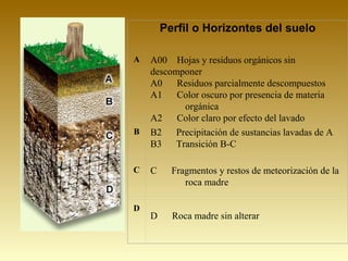 Perfil o Horizontes del suelo
A A00 Hojas y residuos orgánicos sin
descomponer
A0 Residuos parcialmente descompuestos
A1 Color oscuro por presencia de materia
orgánica
A2 Color claro por efecto del lavado
B B2 Precipitación de sustancias lavadas de A
B3 Transición B-C
C C Fragmentos y restos de meteorización de la
roca madre
D
D Roca madre sin alterar
 