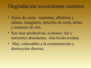 Degradación ecosistemas costeros
• Zonas de costa: marismas, albuferas y
salinas, manglares, arrecifes de coral, deltas
y estuarios de ríos.
• Son muy productivas, ecotonos: luz y
nutrientes abundantes. Alta biodiversidad.
• Muy vulnerables a la contaminación y
destrucción directas.
 