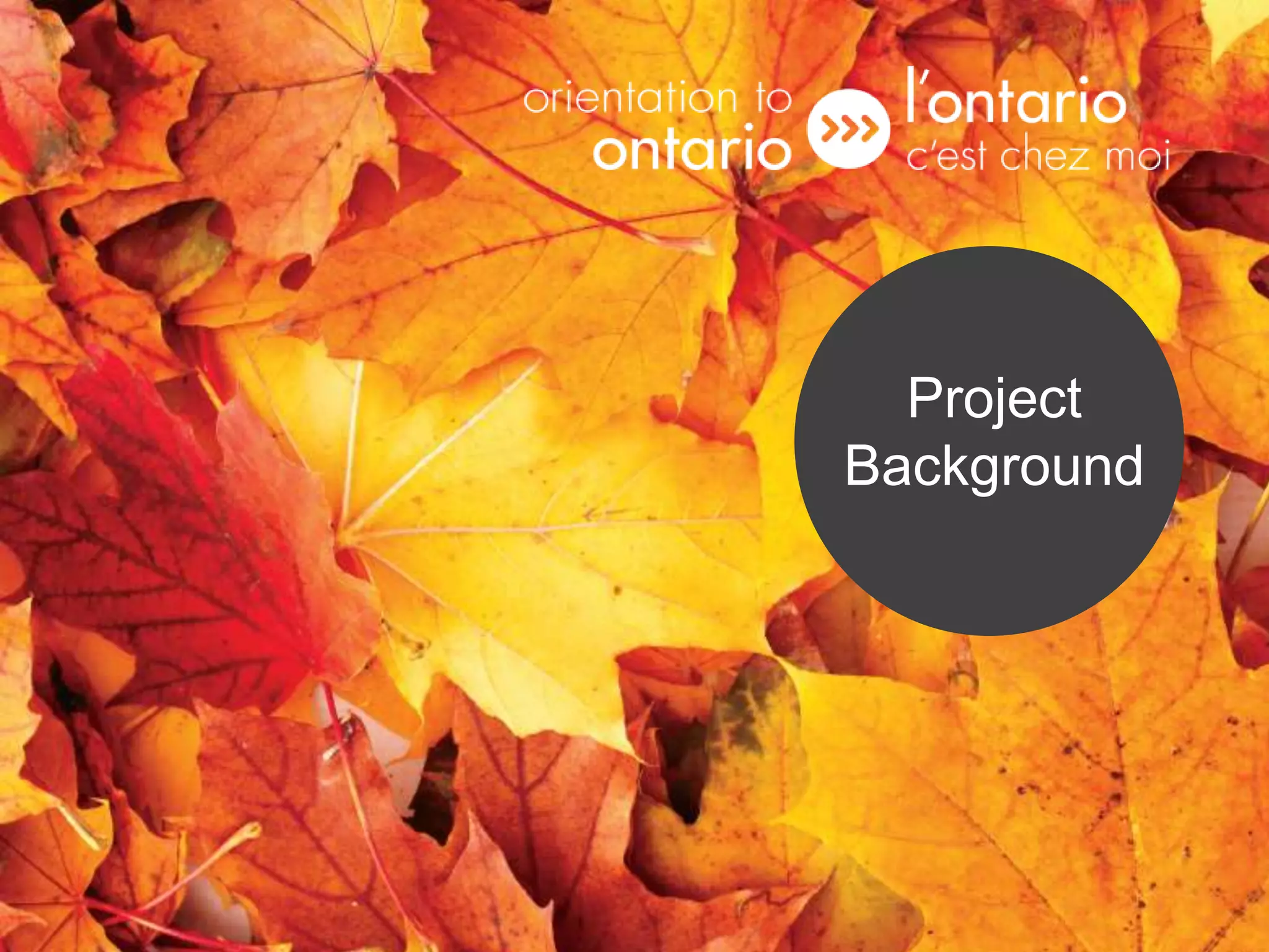 Project
                          Background




Funded by / Financé par
 