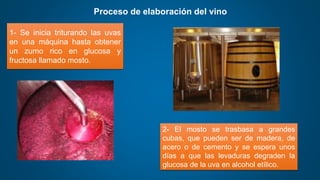 Proceso de elaboración del vino
1- Se inicia triturando las uvas
en una máquina hasta obtener
un zumo rico en glucosa y
fructosa llamado mosto.
2- El mosto se trasbasa a grandes
cubas, que pueden ser de madera, de
acero o de cemento y se espera unos
días a que las levaduras degraden la
glucosa de la uva en alcohol etílico.
 