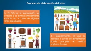 Proceso de elaboración del vino
3- El CO2 en la fermentación se
evapora o se elimina artificialmente,
excepto en el caso de algunos
vinos espumosos.
4- Posteriormente, el vino se
traslada a cubas de alimentación
donde precipita el residuo
orgánico (orujo).
 