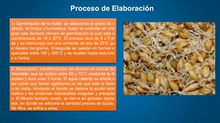 Proceso de Elaboración
1- Germinación de la malta: se selecciona el grano de c
ebada, se limpia y humedece, luego se extiende en una
gran sala llamada cámara de germinación la cual esta a
condicionada de 18 a 20°C. El proceso dura de 8 a 9 dí
as y se interrumpe con una corriente de aire de 25°C qu
e deseca los granos. Enseguida se tuestan en hornos e
speciales entre 100 y 200°C y se muelen hasta reducirlo
s a harina.
2- Maceración: transformación del almidón en azúcar fer
mentable, que se realiza entre 60 y 70°C mediante la di
astasa y dura unas 3 horas. El agua caliente se añade a
las cubas que tienen agitadores en las que esta la harin
a de malta. Hirviendo el líquido se detiene la acción enzi
mática y las proteínas indeseables coagulan y precipita
n. El filtrado llamado mosto, se hierve en grandes depós
itos, en donde se adiciona la cantidad precisa de lúpulo.
Se filtra, se enfría y airea.
 
