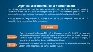 Agentes Microbianos de la Fermentación
Los microorganismos responsables de la fermentación son de 3 tipos: Bacterias, Mohos y
Levaduras. Cada uno de estos microorganismos posee características propias sobre la
fermentación que son capaces de provocar un sabor caracteristico al producto final.
A veces estos microorganismos no actuan solos, si no que cooperan entre si para la
obtención del proceso global de fermentación.
Levaduras
Son cuerpos unicelulares esféricos/ ovoides con un tamaño de 3-12 micras y que
está presente de forma natural en algunos ptoductos como las frutas, cereales y
verduras. Son orgánismos anaerobicos facultivos. Con ellas se ptoduce el pan, el
vino y la mayoria de las demás bebidas alcohólicas.
Mohos
Hongos
Se emplean con menor frecuencia que las levaduras para fermentar alimentos. Se
utilizan en la elaboración de ciertos quesos y vinos.
 