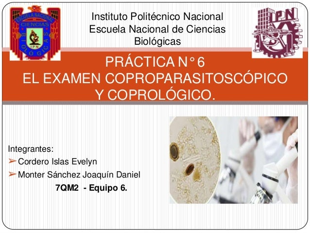 examen coproparasitoscopico y coprologico