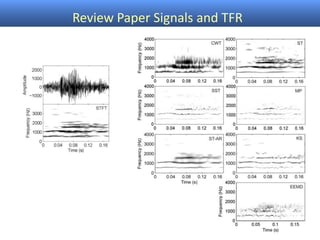 Review Paper Signals and TFR
 