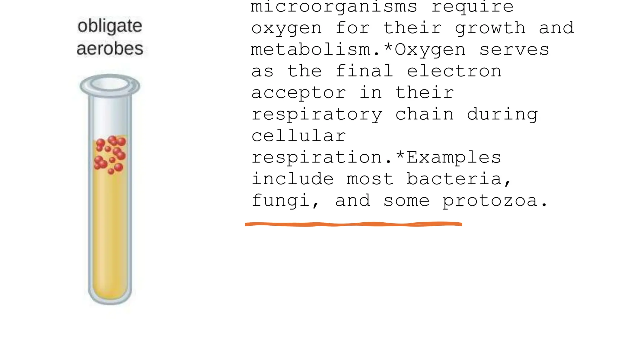 o2 requirements of microbial culture.pptx