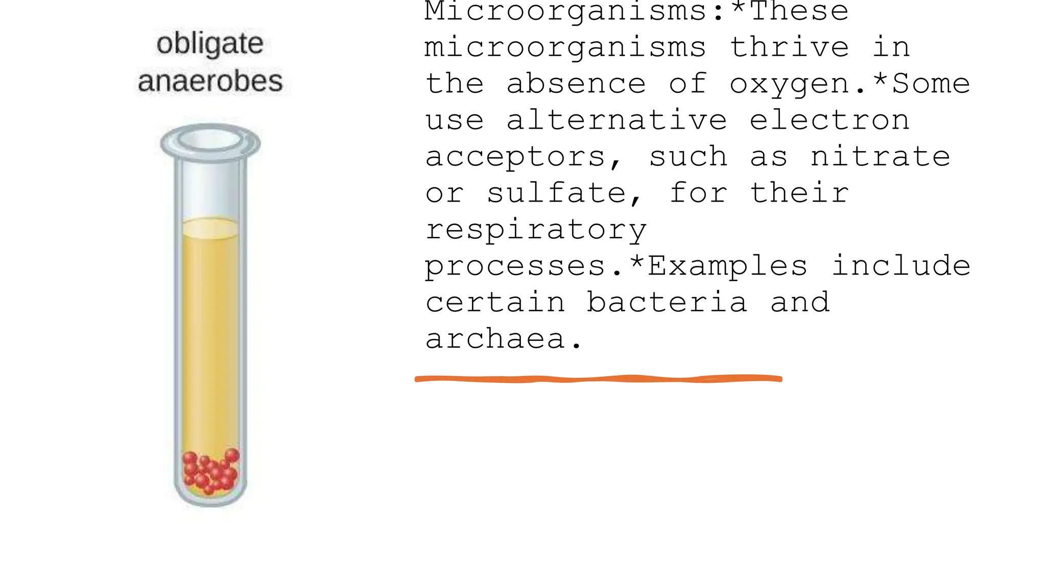 o2 requirements of microbial culture.pptx