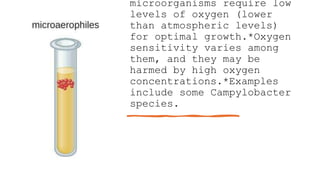 o2 requirements of microbial culture.pptx