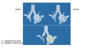 oxygen nitrogen
PO2 =673
PCO2 = 40
PH2O = 47A – UNDERVENTILATED
B – NORMAL VENTILATED
 