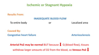 Ischemic or Stagnant Hypoxia
Results From:
INADEQUATE BLOOD FLOW
To entire body or Localized area
Caused By:
Congestive heart failure Arteriosclerosis
Arterial Po2 may be normal BUT because Q (blood flow), tissues
withdraw larger amounts of O2 from the blood, so Venous Po2
 