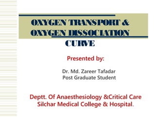 Presented by:
Dr. Md. Zareer Tafadar
Post Graduate Student
Deptt. Of Anaesthesiology &Critical Care
Silchar Medical College & Hospital.
OXYGEN TRANSPORT &
OXYGEN DISSOCIATION
CURVE
 